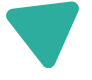 polygon Icon